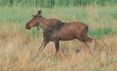 DSC_0016.JPG