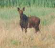 DSC_0023.JPG