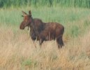 DSC_0024.JPG
