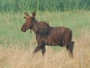 DSC_0028.JPG