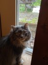 IMG_0310.jpeg