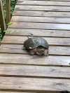 IMG_5803.jpeg
