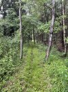 IMG_5801.jpeg