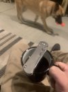 IMG_4441.jpeg