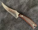 Sharp5.jpg