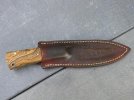 clip sheath 003 (1024x768).jpg