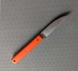 H20 Wharnie orange b.jpg H20 Wharnie orange b.jpg