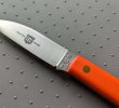H20 Wharnie orange c.jpg H20 Wharnie orange c.jpg