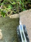 IMG_2010.jpeg