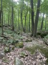 IMG_5818.jpeg