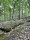IMG_5819.jpeg