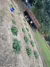 IMG_4240.jpeg