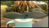 IMG_7721.jpeg