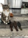 IMG_3792.jpeg