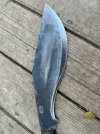 IMG_1378.jpeg