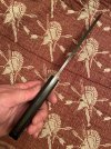 IMG_3504.jpeg