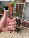 IMG_0596.jpeg