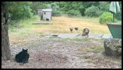 IMG_7772.jpeg