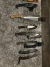 IMG_3680.jpeg