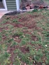 IMG_2169.jpeg