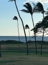 IMG_6045.jpeg
