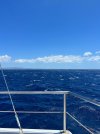 IMG_6111.jpeg