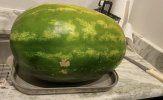 IMG_5642.jpeg