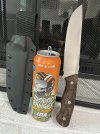 IMG_0208.jpeg