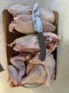 IMG_9209.jpeg