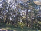 IMG20230625122923.jpg