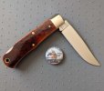 72 Scout bone b.jpg