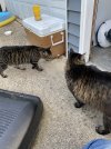 IMG_1030.jpeg