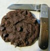 cookies.single.jpeg
