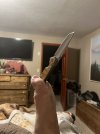 IMG_4006.jpeg