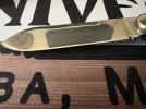 IMG_3327.jpeg