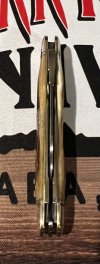 IMG_2552.jpeg