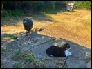 IMG_7993.jpeg
