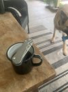 IMG_4866.jpeg