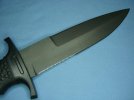 DSC05638-1.jpg