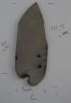 DSC01220.jpg