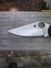 pm2 1.jpg