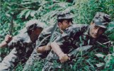 BSI in the jungle.jpg