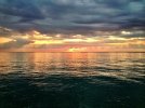 IMG_1010.jpg