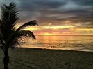 IMG_1015.jpg