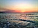 IMG_1146.jpg
