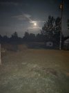 IMG_0700.jpeg