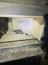 IMG_0669.jpeg