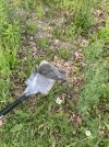 IMG_0671.jpeg