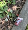 IMG_0125.jpeg