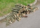 woodpile.curb.jpeg
